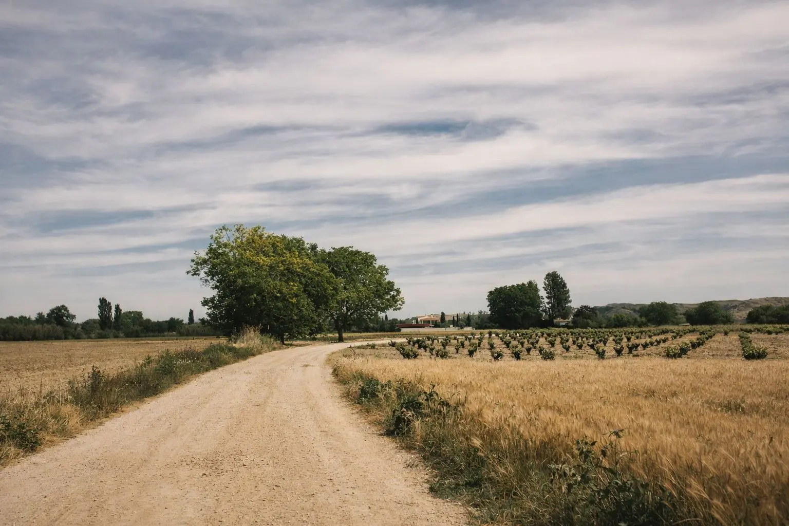 Carretera de llegada a la finca